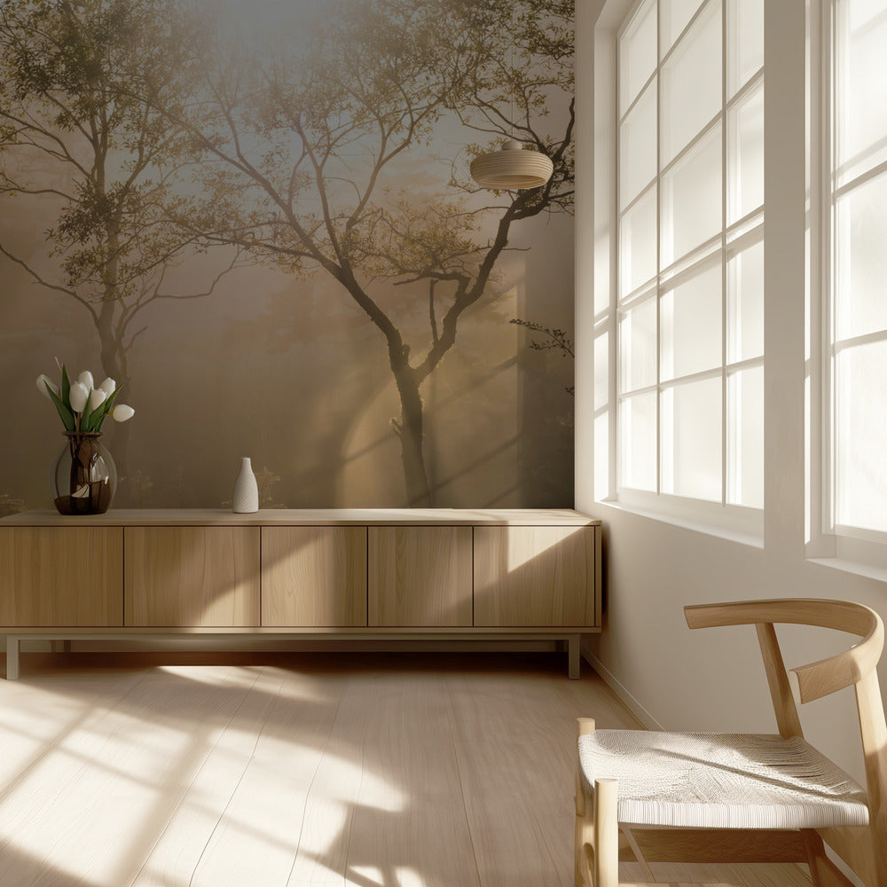 Tre alberi | Carta da Parati Fotografica