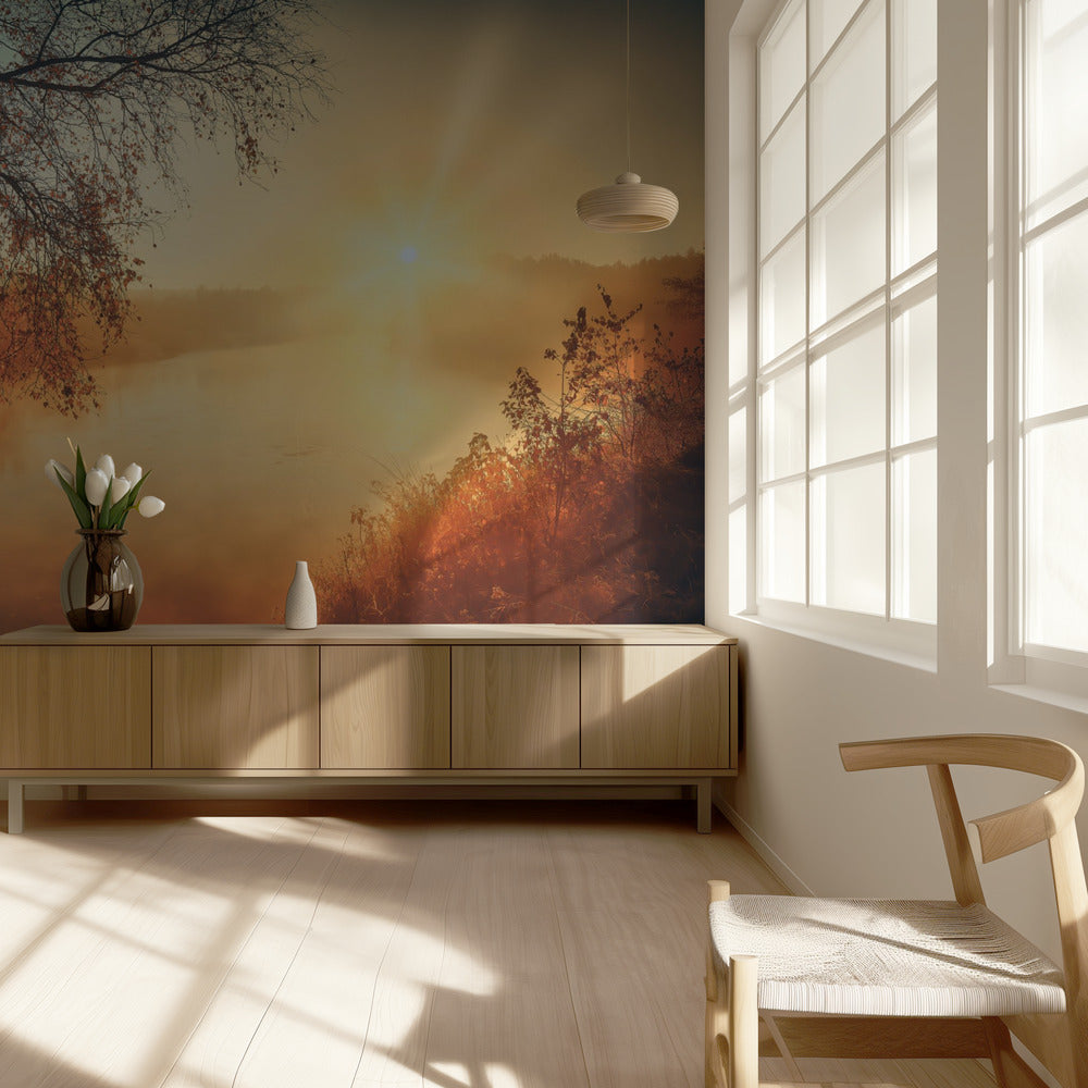 L'oro dell'autunno | Carta da Parati Fotografica