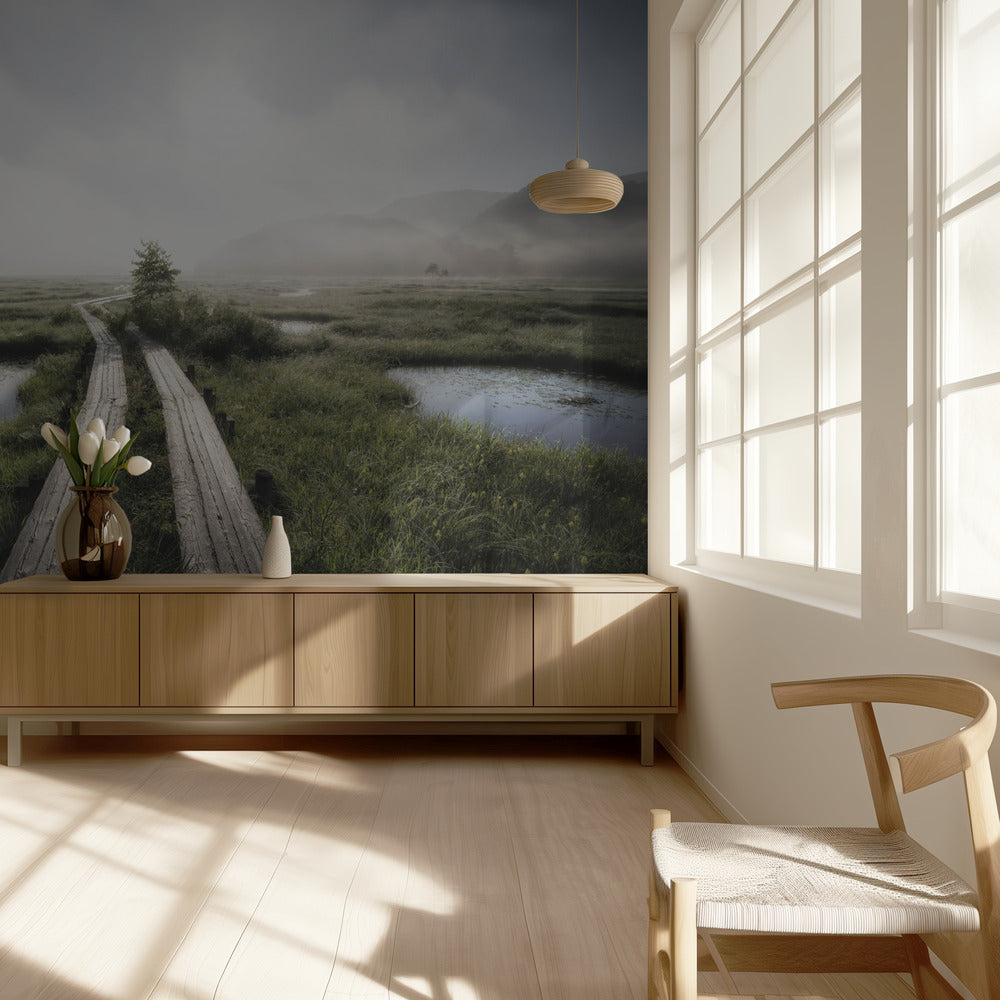 Nel mondo nebbioso | Carta da Parati Fotografica