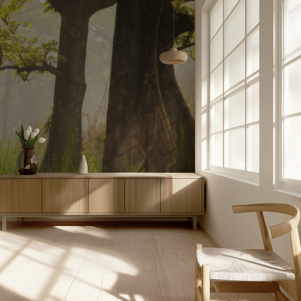 Pavone | Carta da Parati Fotografica