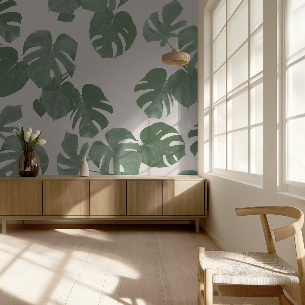 Monstera Leaves | Wallpaper