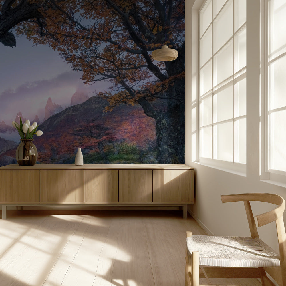 Sonnenuntergang vom Fenster | Fototapeten