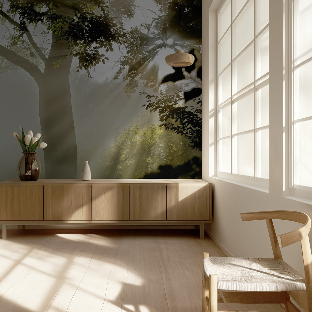 Nebbia a Møns Klint | Carta da Parati Fotografica