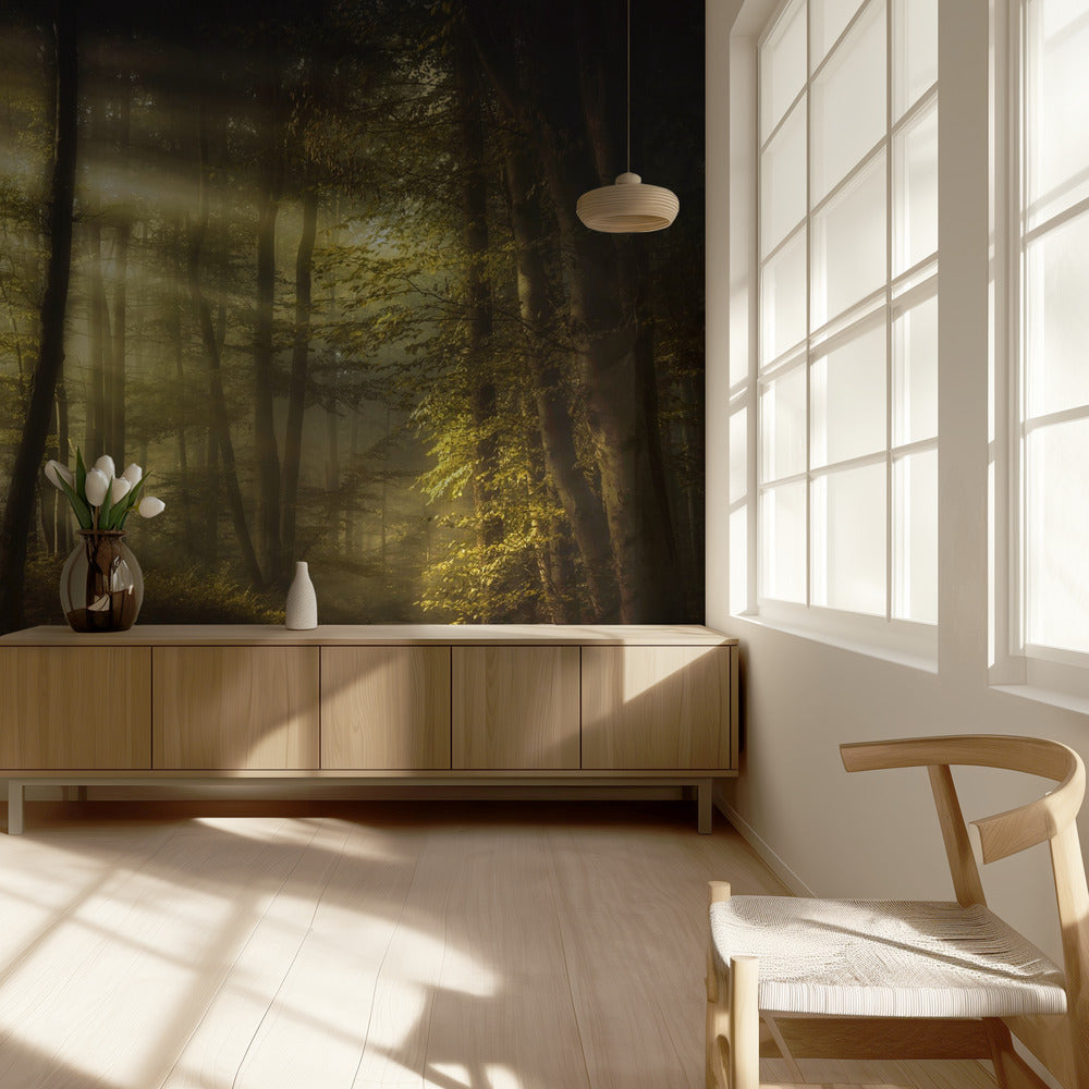 Mattina autunnale | Carta da Parati Fotografica