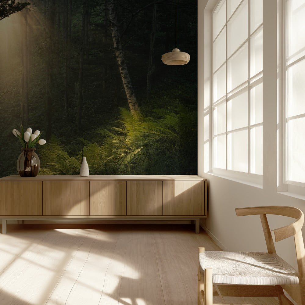 Riflettori. | Carta da Parati Fotografica