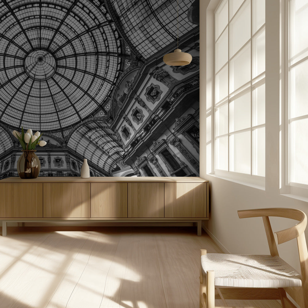 Encuentros Cercanos | Papel Pintado Fotográfico