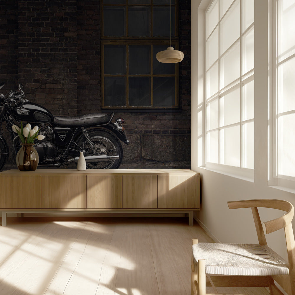 Jak się przemieszczam: Kari - Transport | Fototapeta