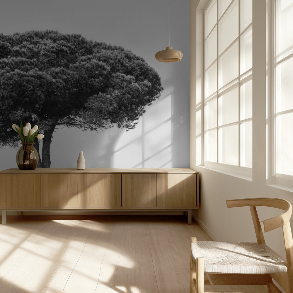 TREE | Wallpaper