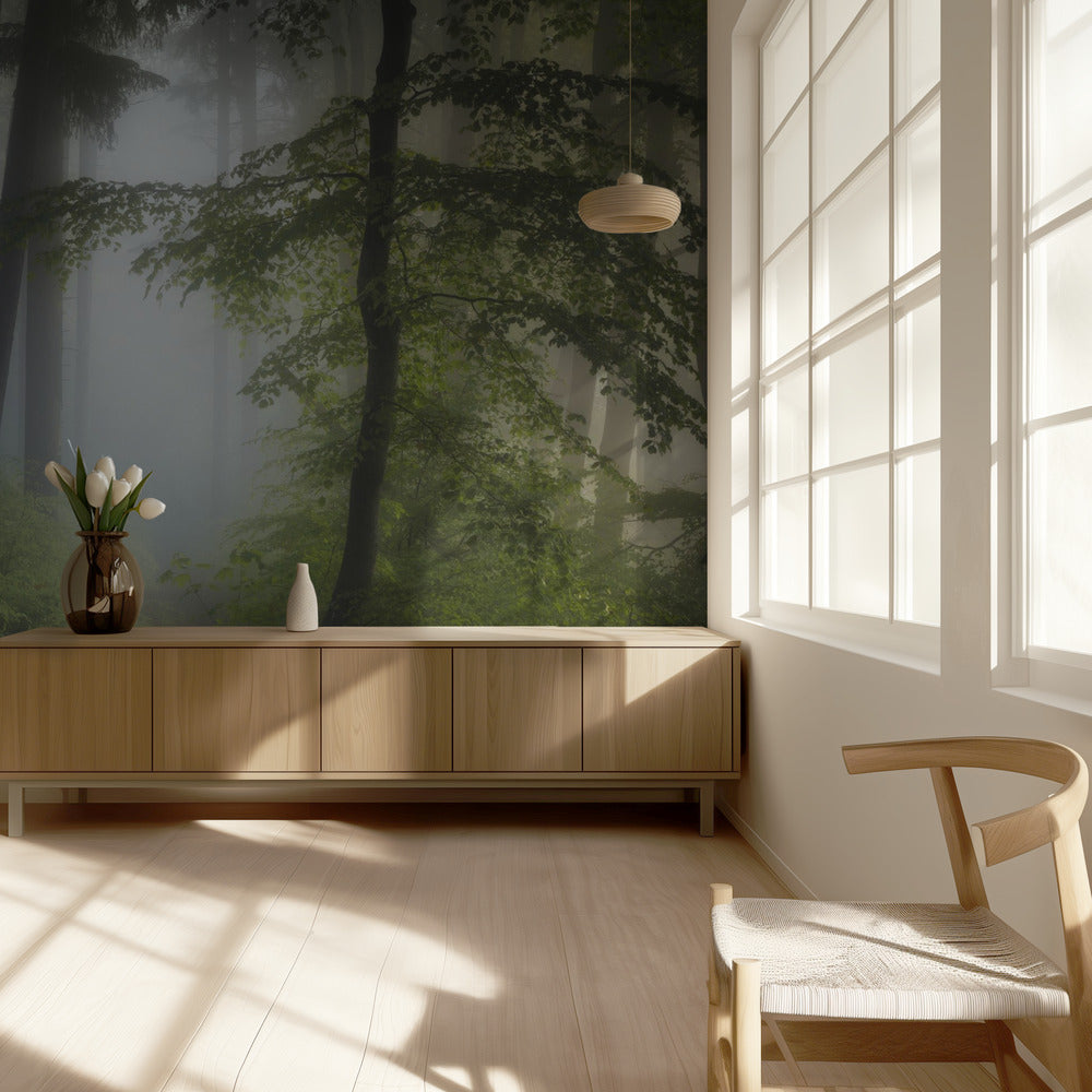 Nebbia mattutina | Carta da Parati Fotografica