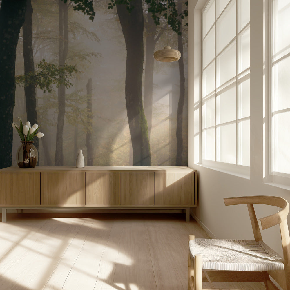 Herbst | Fototapeten