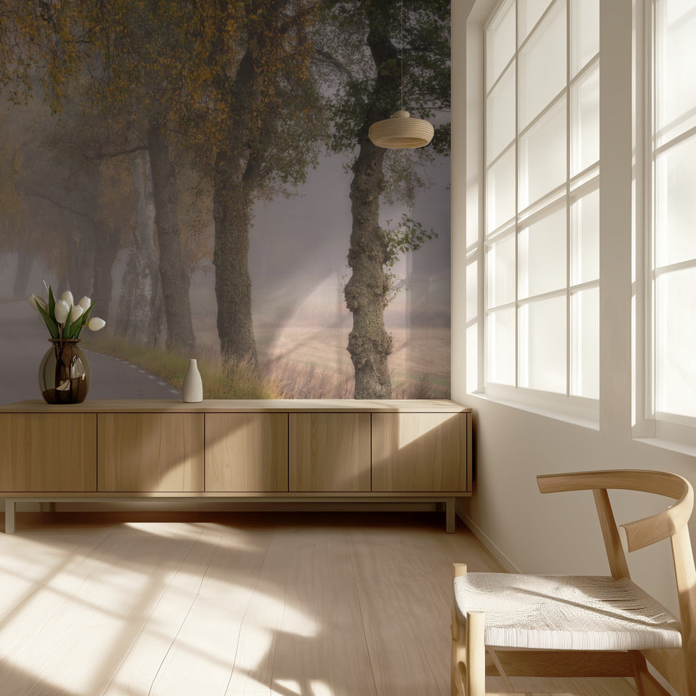 Fallende Blätter | Fototapeten