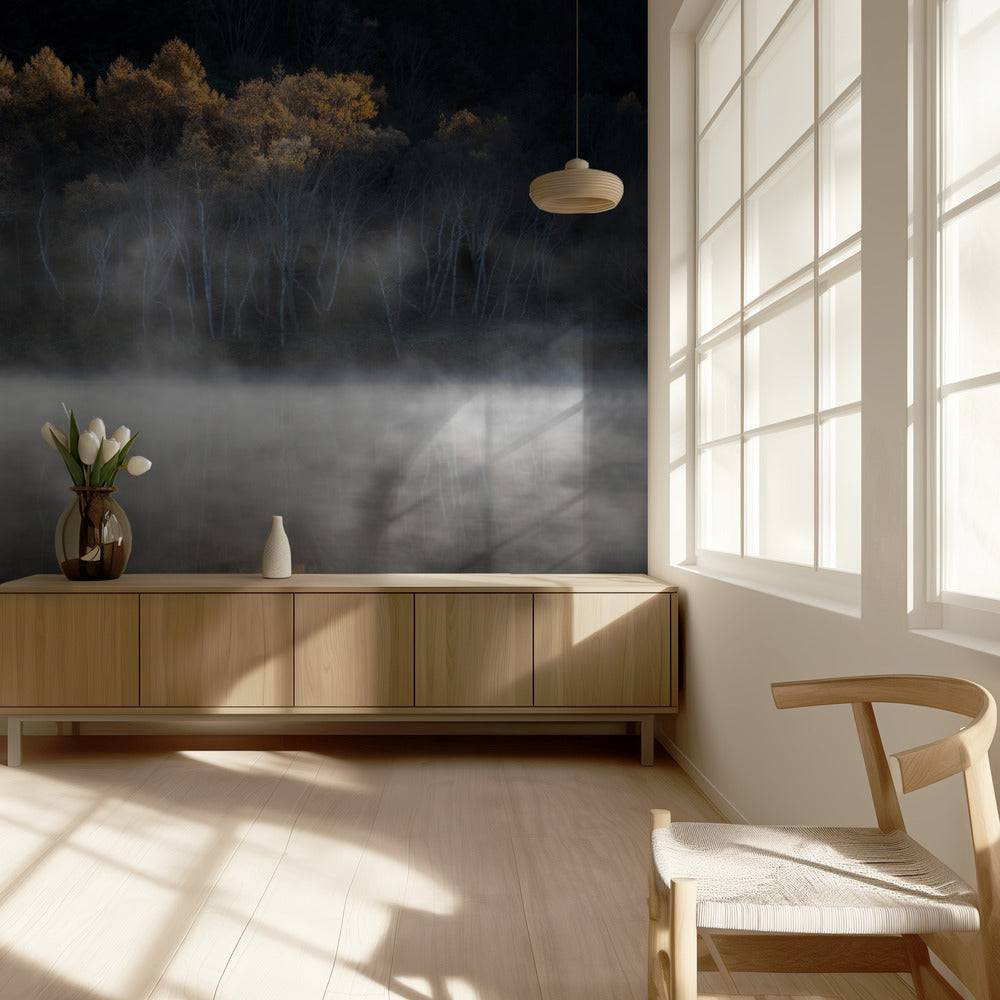 Attratti dalla luce del tardo autunno | Carta da Parati Fotografica