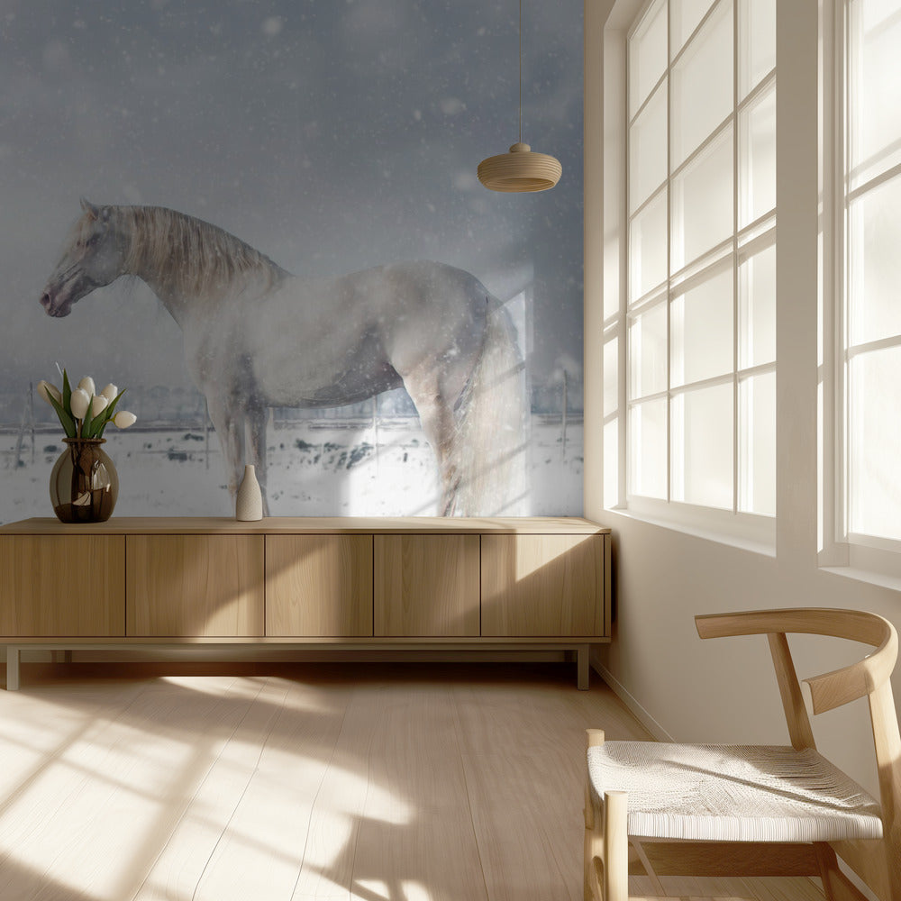 Sataa lunta... | Valokuvatapetit