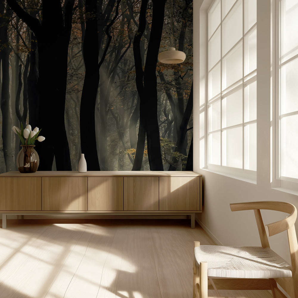 Speulderbos | Fototapeten