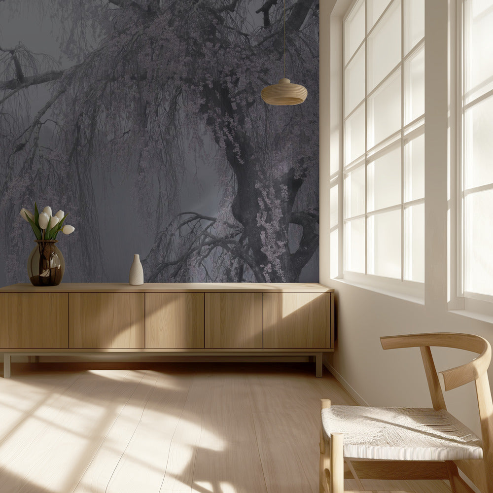 ammaliante | Carta da Parati Fotografica