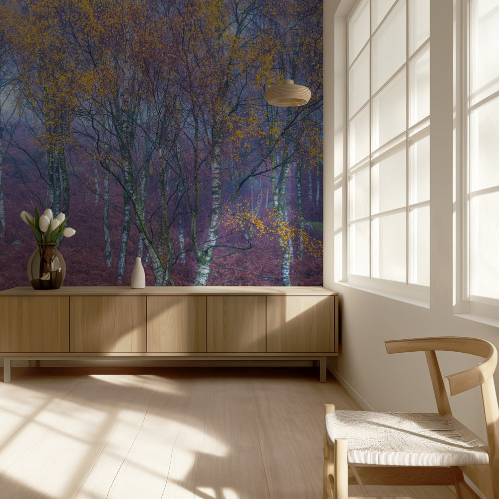 Ohne Titel | Fototapeten