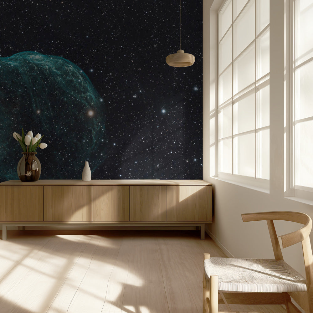 DELFIINISUMU - SHARPLESS 2-308 | Valokuvatapetit