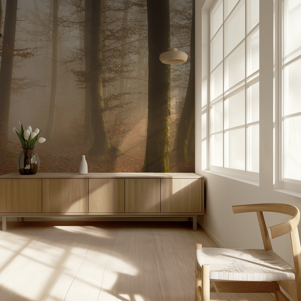 Novemberwald | Fototapeten