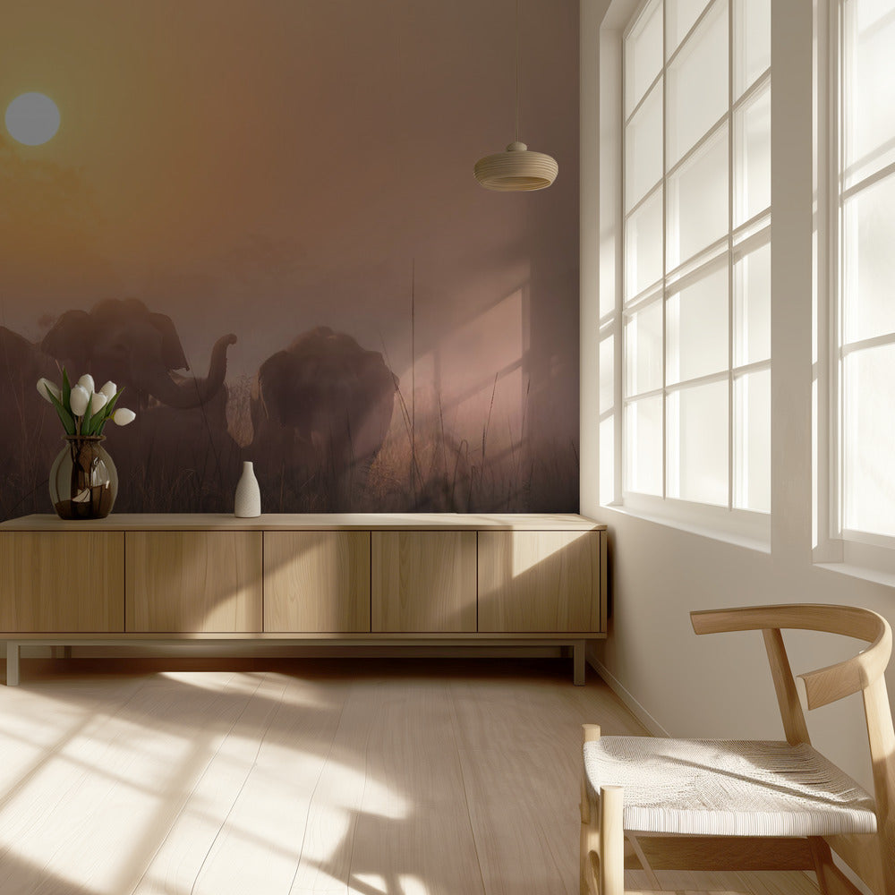 Aamut | Valokuvatapetit