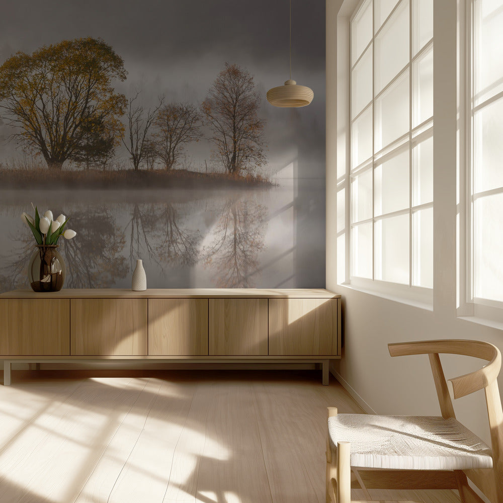 Sumuinen aamu | Valokuvatapetit