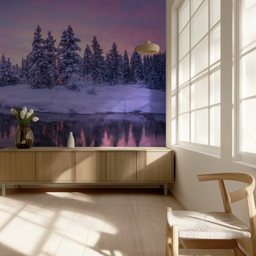 Mattina nella foresta | Carta da Parati Fotografica