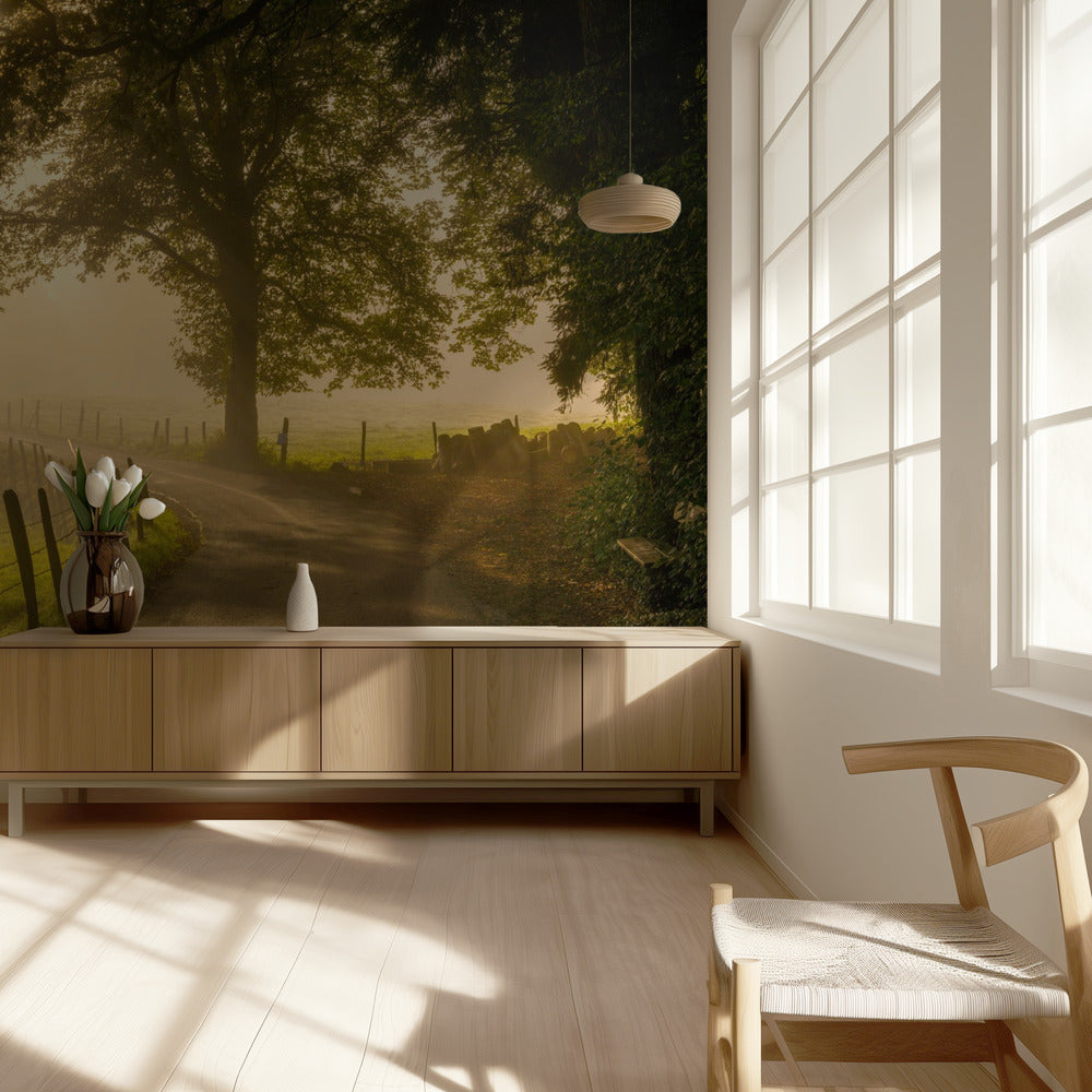 Morgenspaziergang | Fototapeten