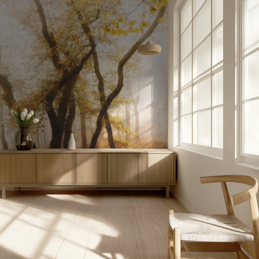 tanssivat puut | Valokuvatapetit