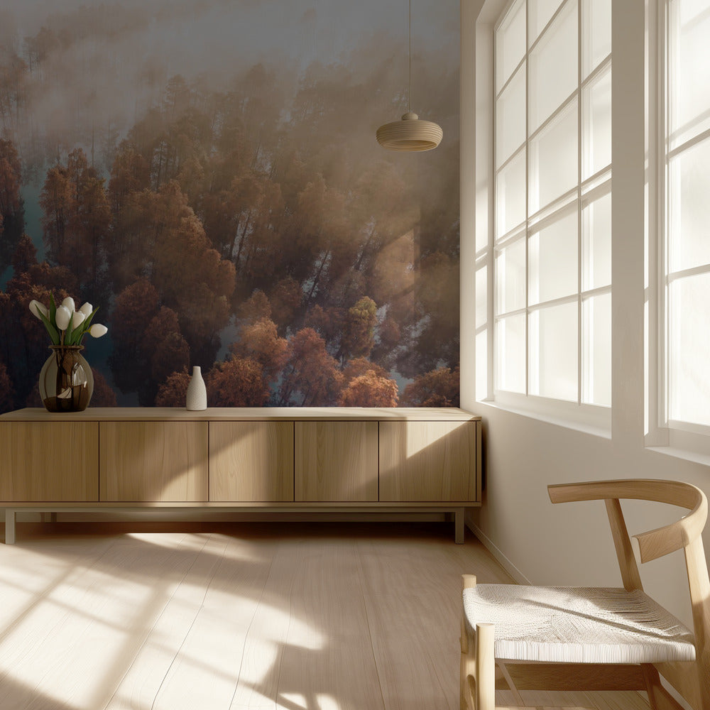 Syksy | Valokuvatapetit