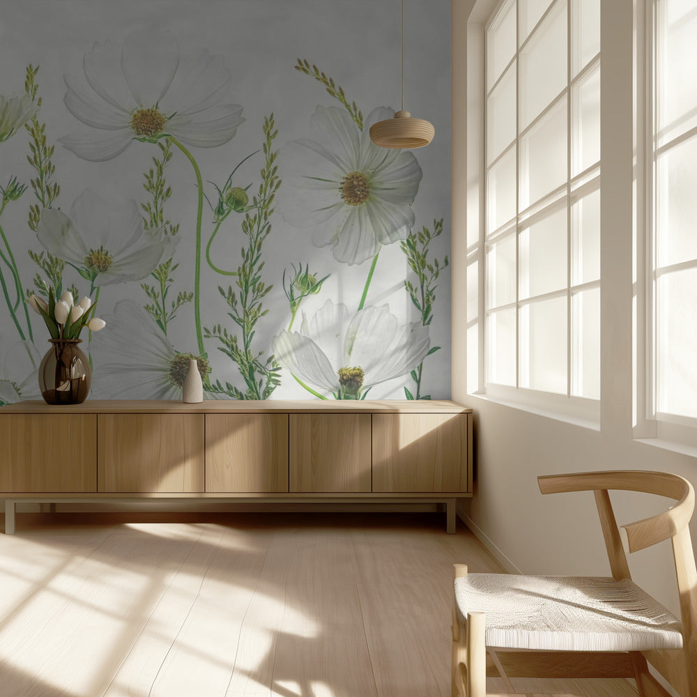 Jardín Cosmos | Papel Pintado Fotográfico