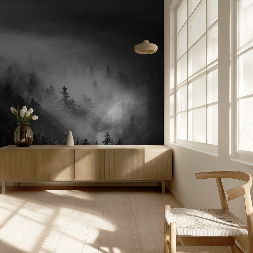 Misty | Wallpaper