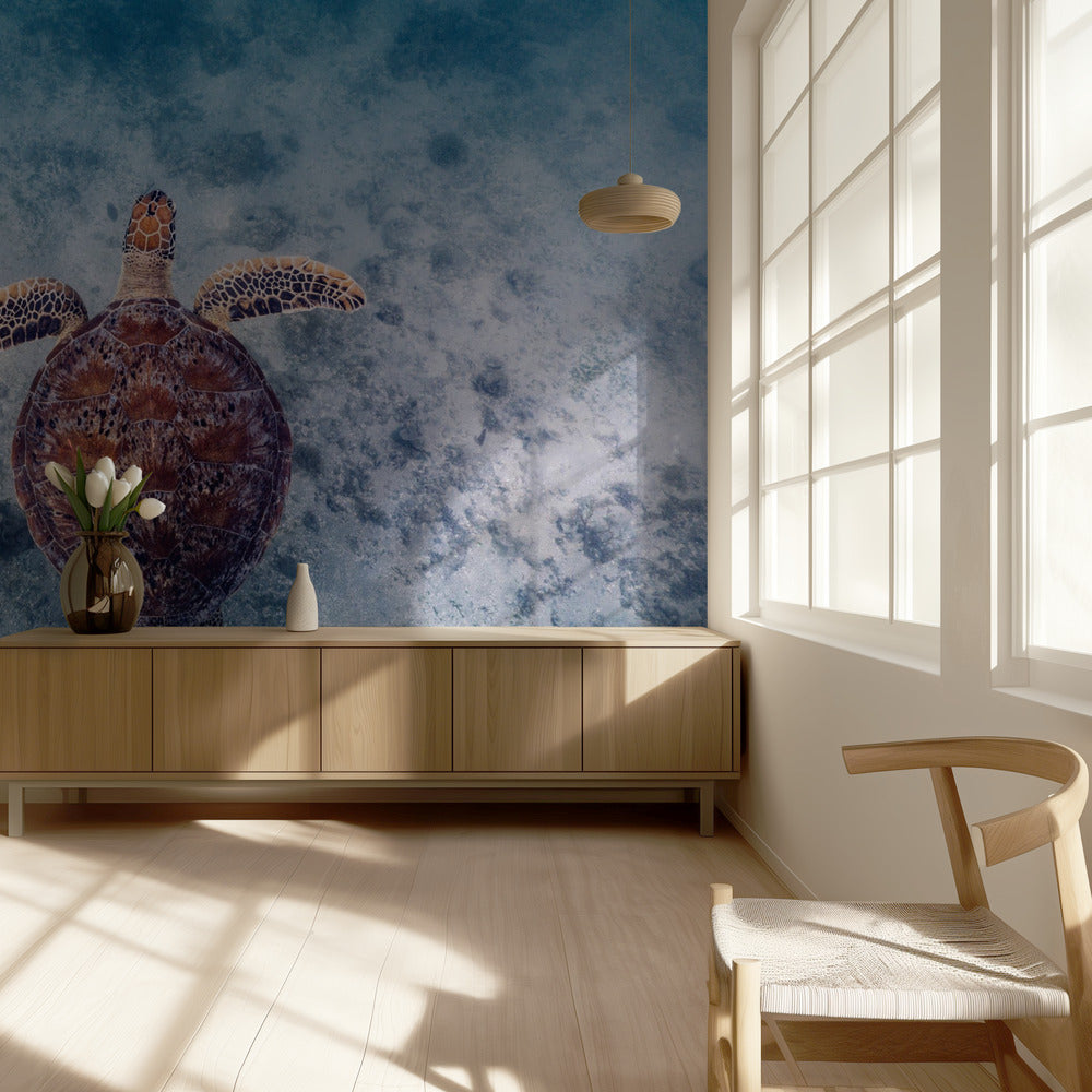 Estilo australiano | Papel Pintado Fotográfico