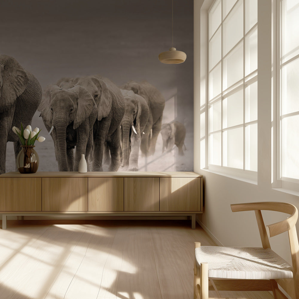 Polku | Valokuvatapetit