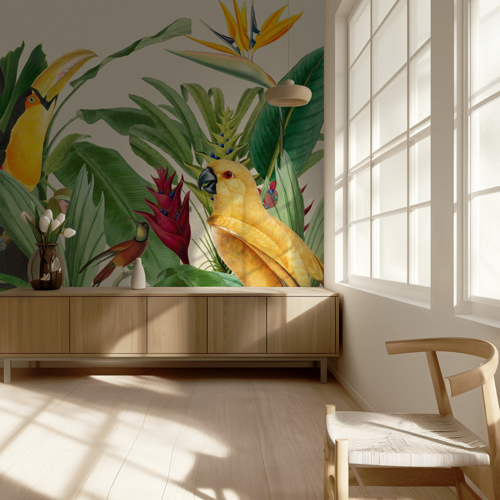 Rain Forest Bird Garden | Wallpaper