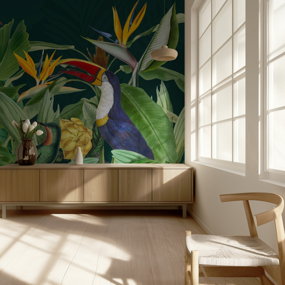 Sademetsän linnut | Valokuvatapetit