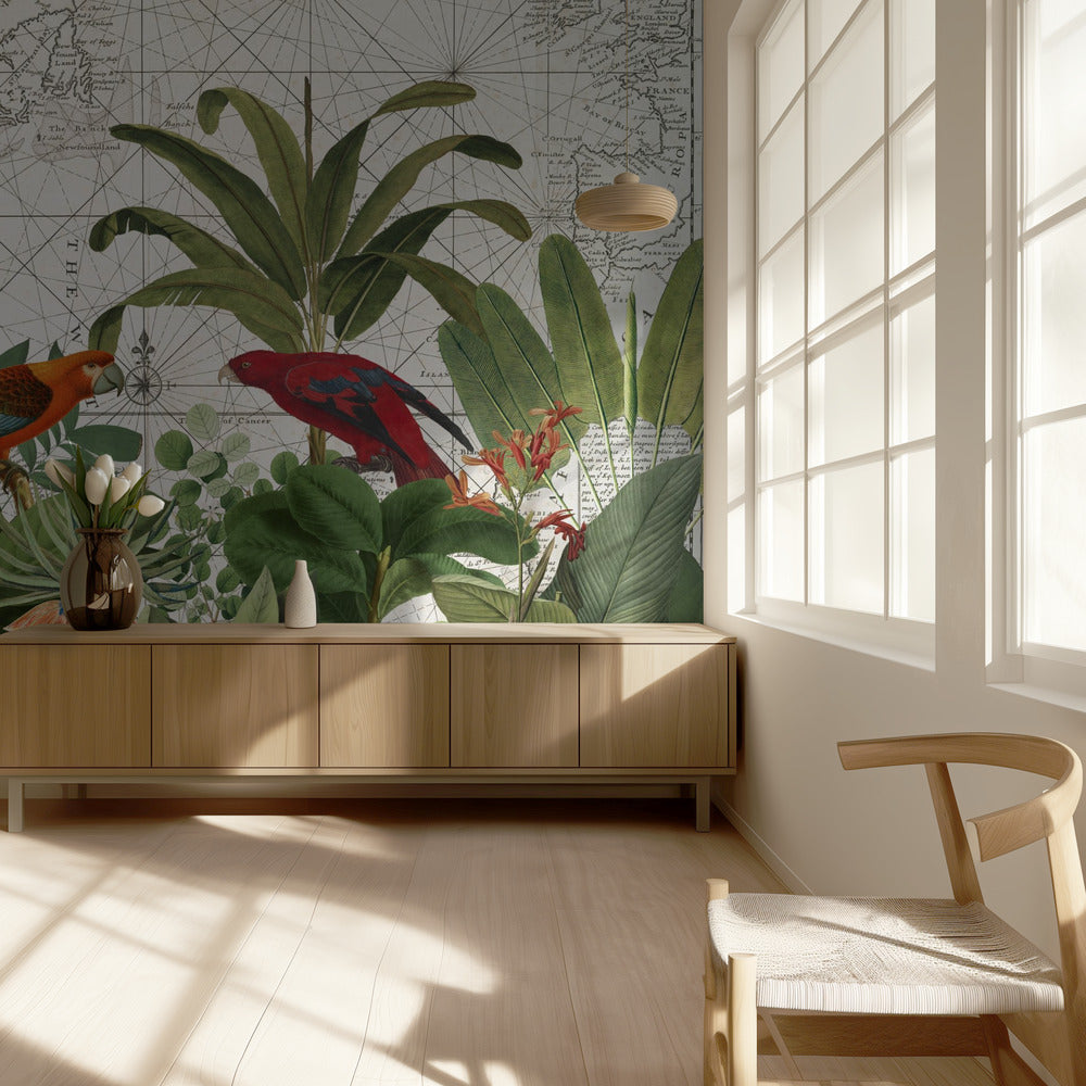 Eksoottinen villieläin 006 | Valokuvatapetit