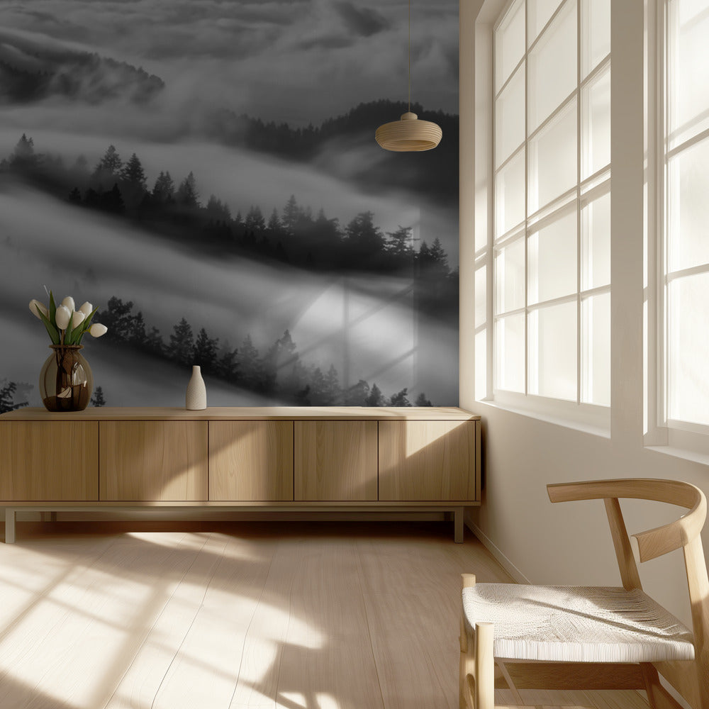 Metsät | Valokuvatapetit