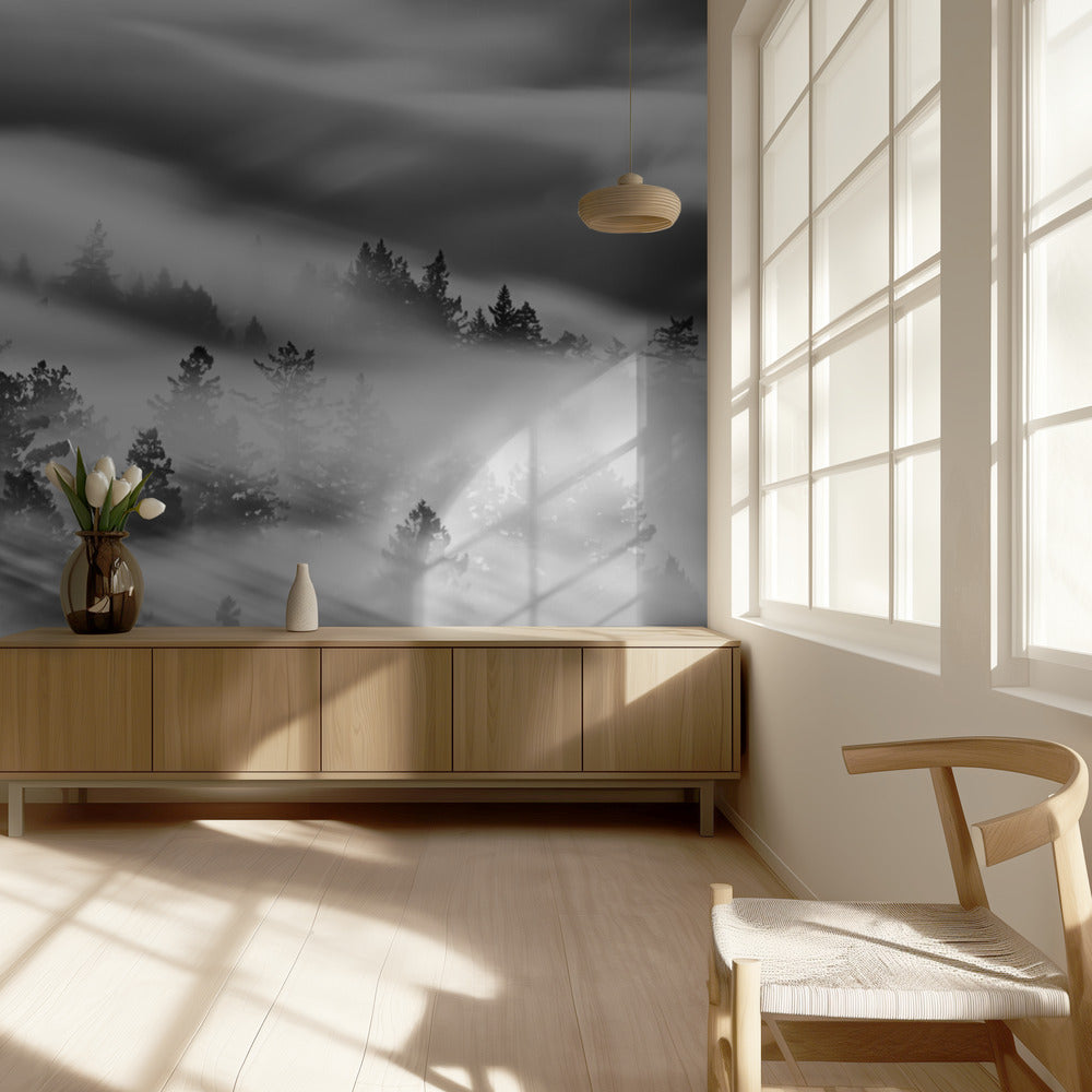 Nimetön | Valokuvatapetit