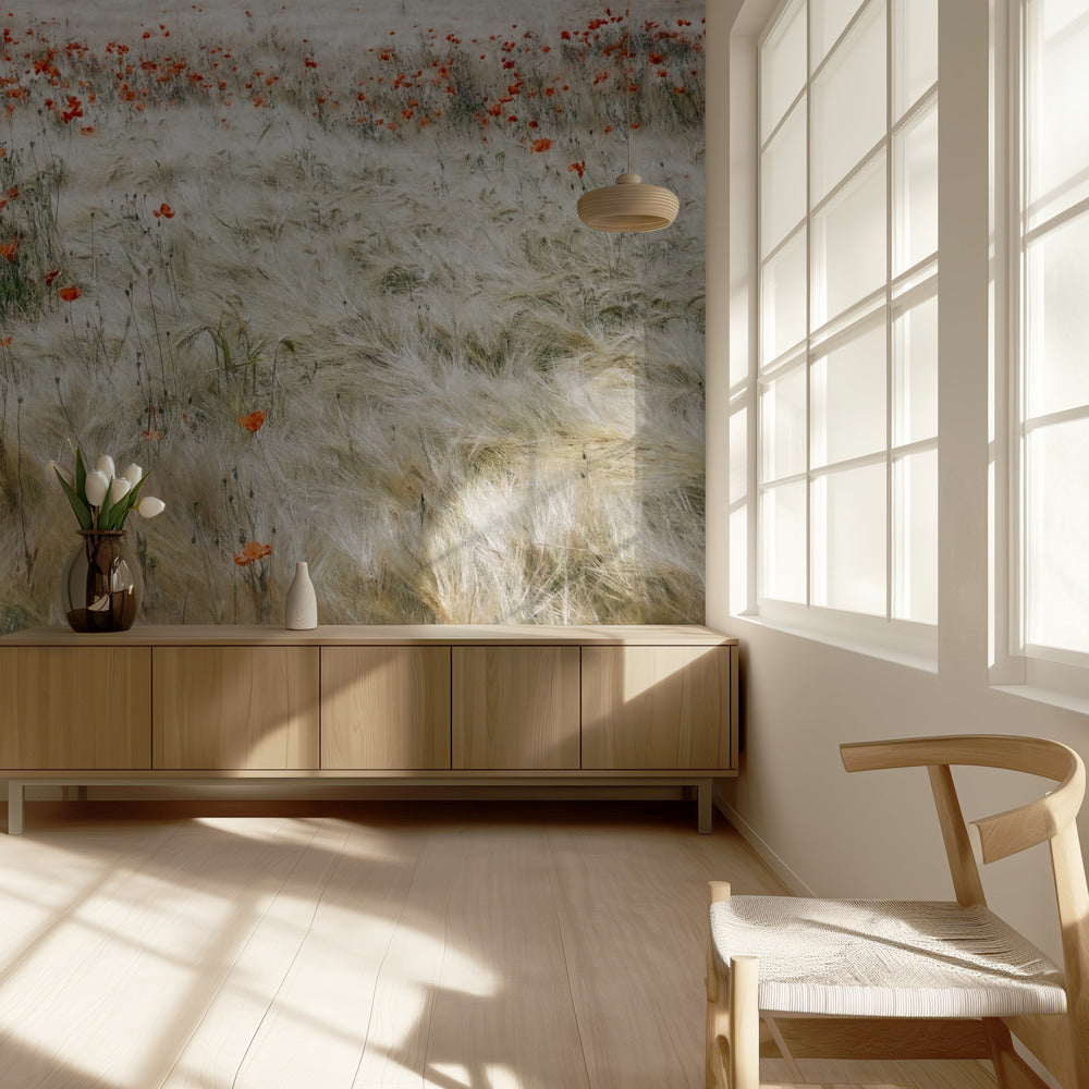 Kesäkenttä | Valokuvatapetit