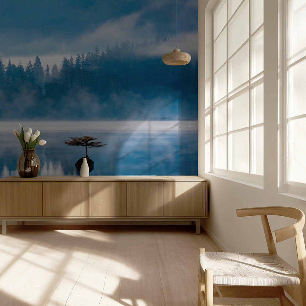 Sumuinen aamu | Valokuvatapetit