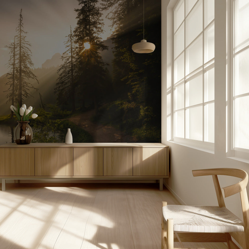 Aamun valo | Valokuvatapetit