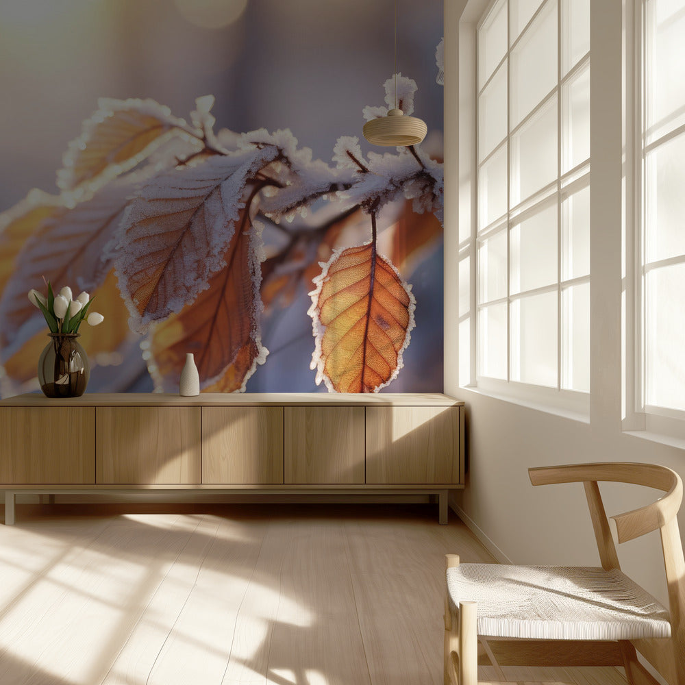 Winter Impressions No 10 | Wallpaper