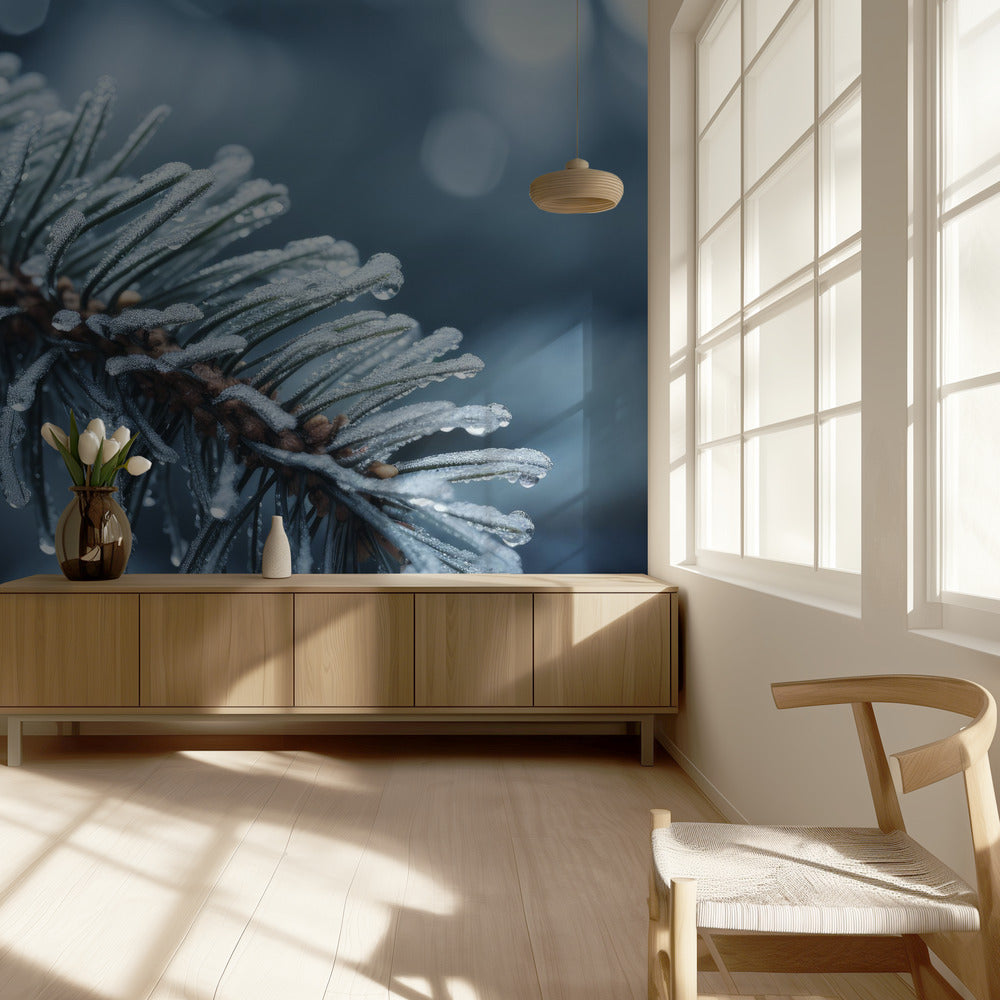 Winter Impressions No 9 | Wallpaper