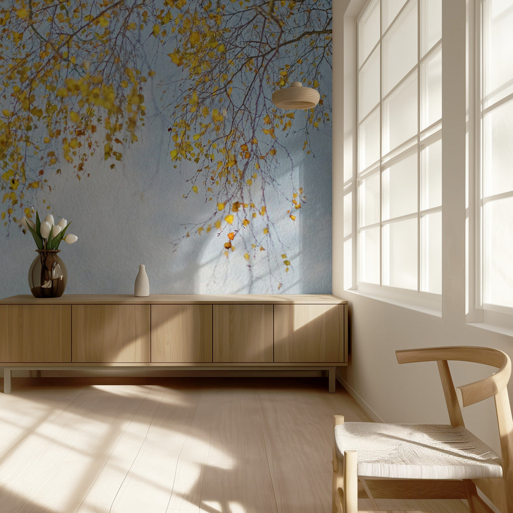 Hopeakoivun lehdet sinisellä taivaalla | Valokuvatapetit