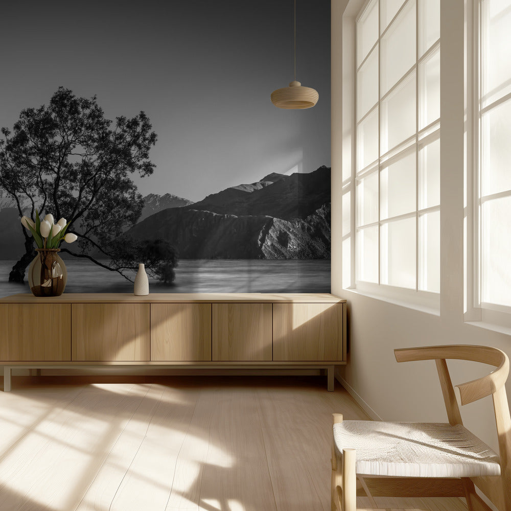 wanaka-puu | Valokuvatapetit