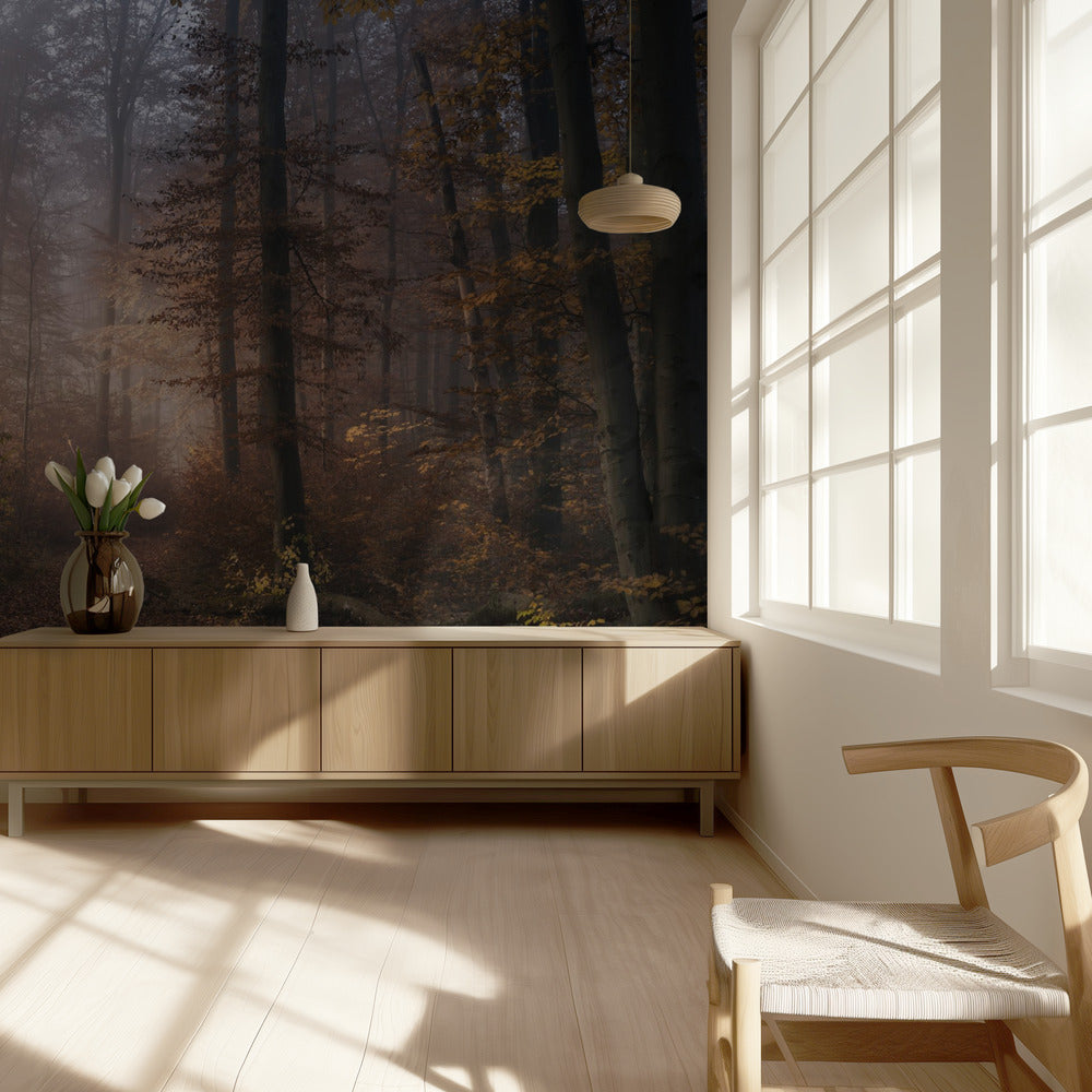 Sinfonia di novembre | Carta da Parati Fotografica