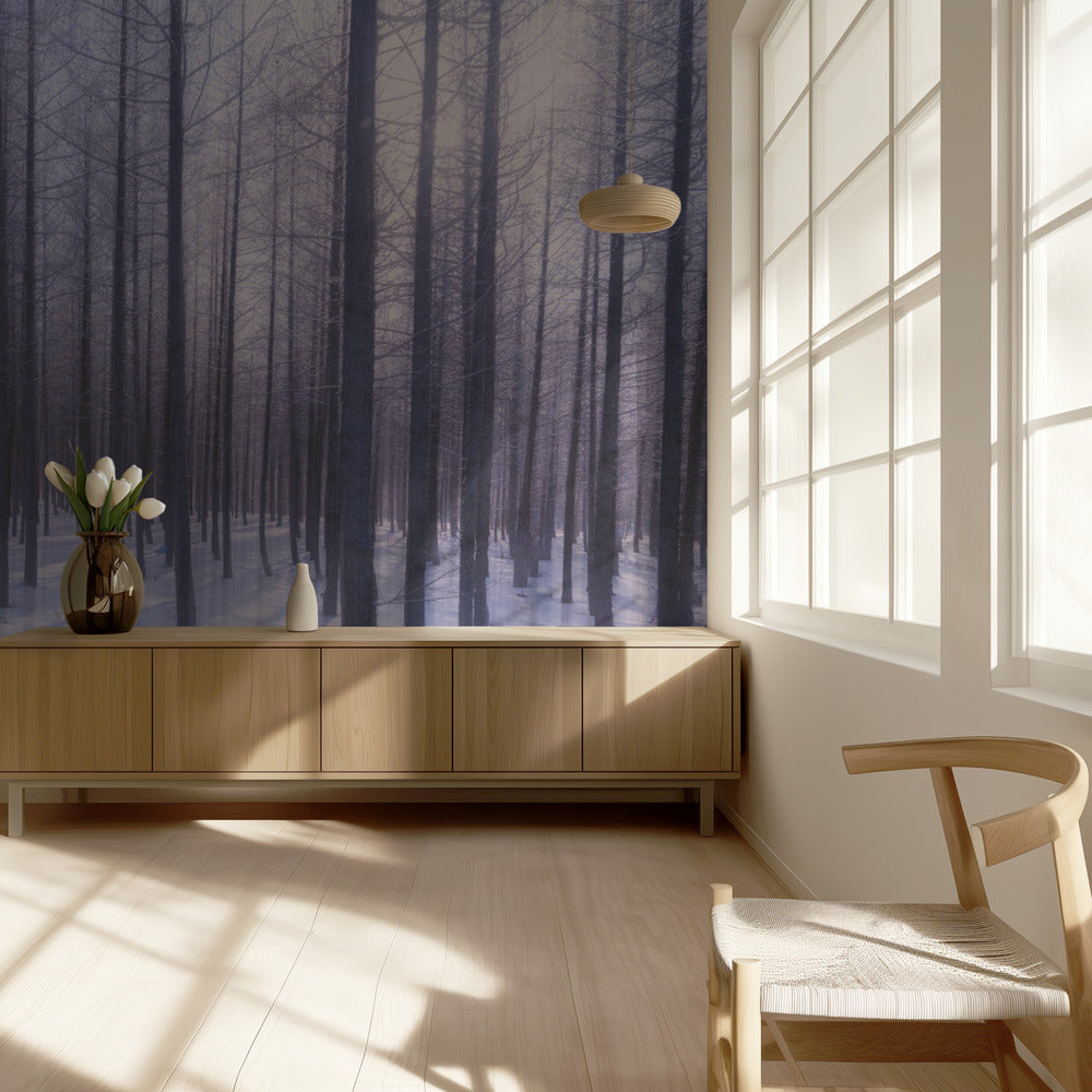 Wintersonne | Fototapeten