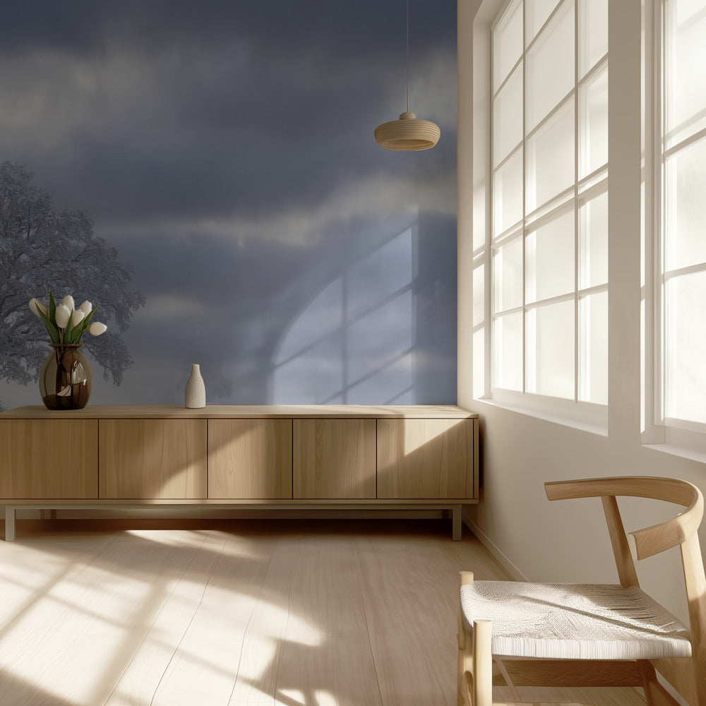 Kylmä aamu | Valokuvatapetit