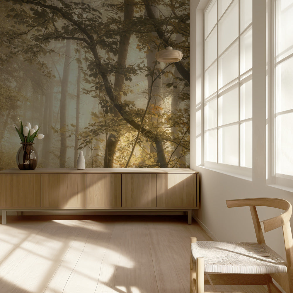 Waldlicht | Fototapeten