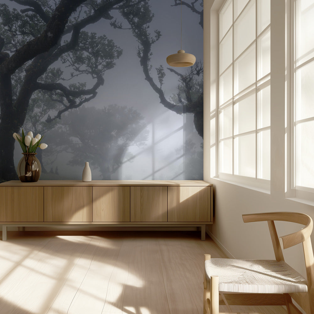 Morning mist | Wallpaper