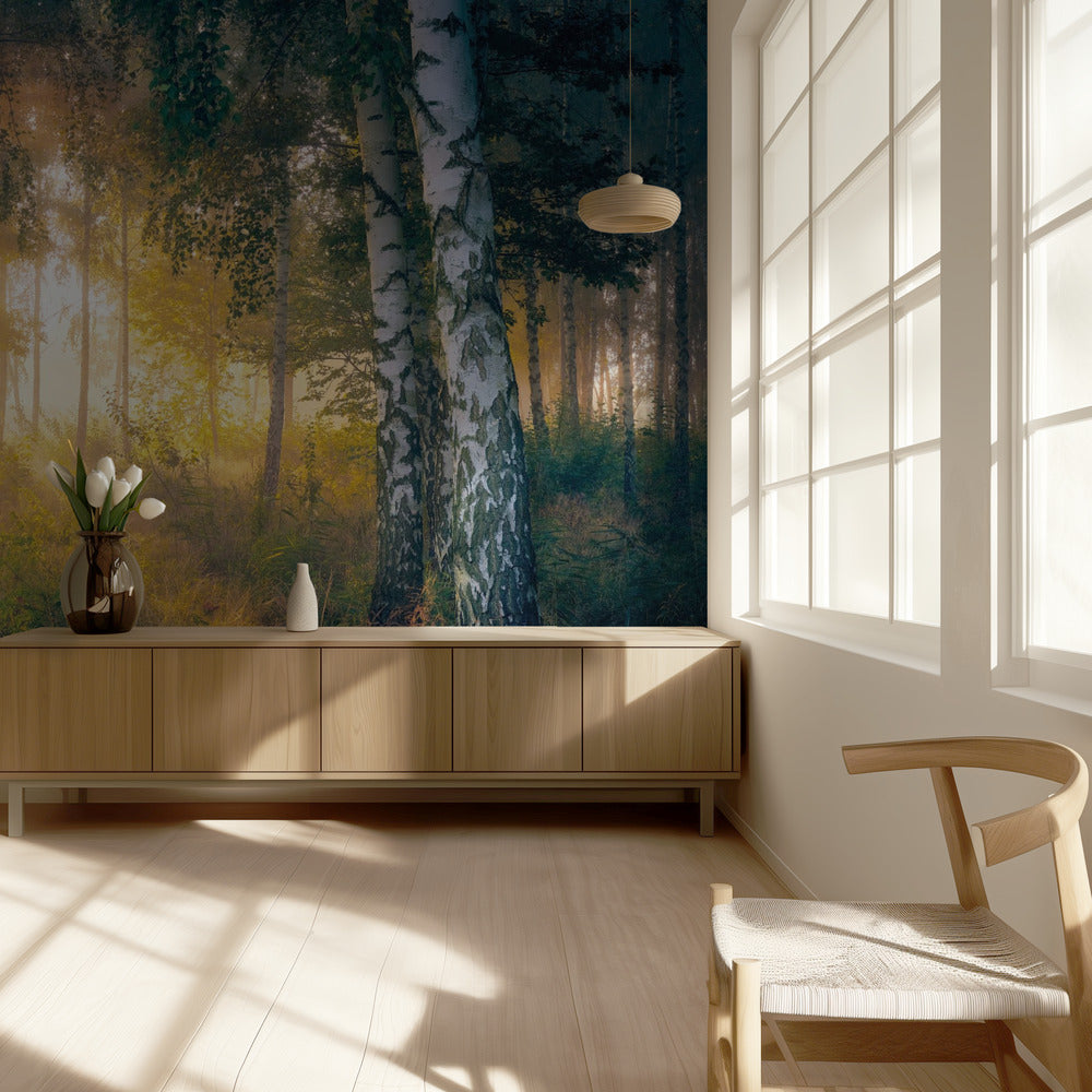 Kultaa metsässä | Valokuvatapetit